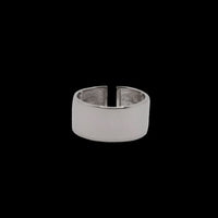 Clean ring silver